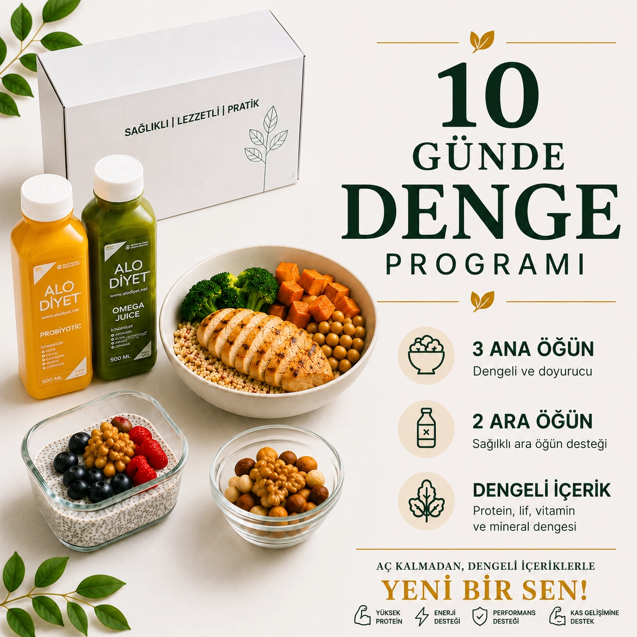 Reset Plus Paket