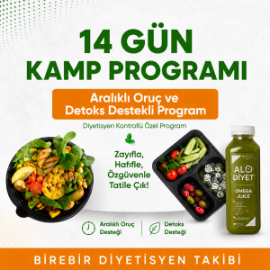 14 Gün Kamp Programı